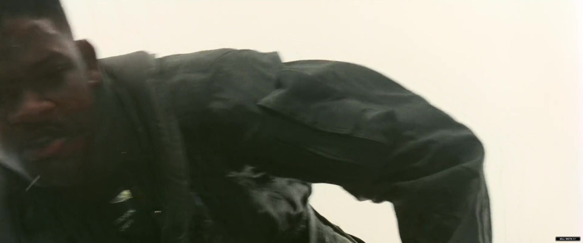 343.jpg