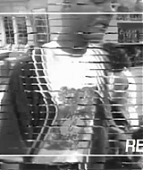 050.jpg